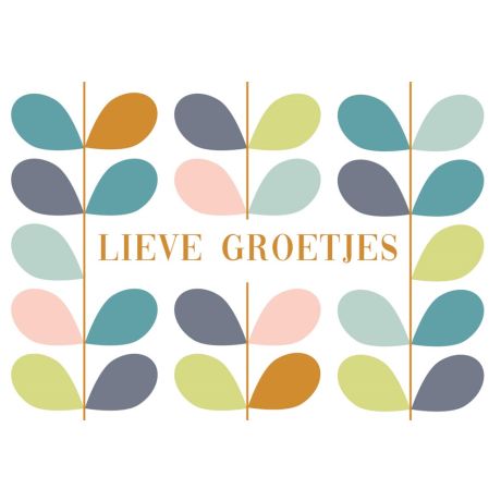 Lieve groetjes kaart