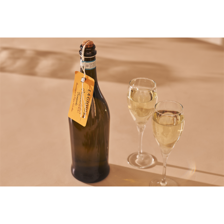 Gioiosa Prosecco Frizzante DOC