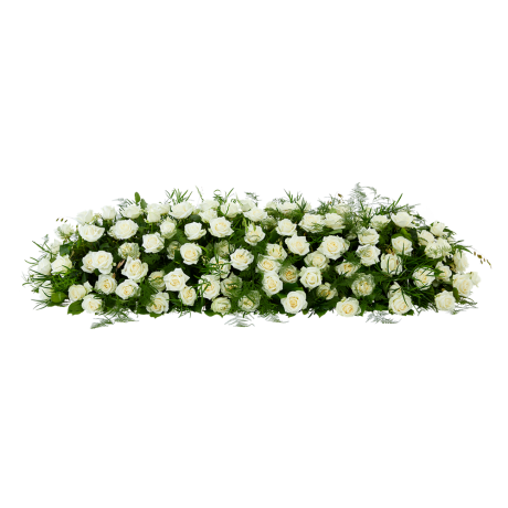 Rouwwerk Pure rozen - Hele kistbedekking