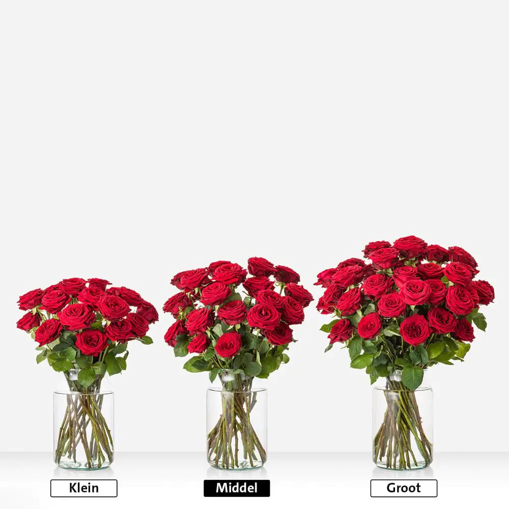 Gift set Red