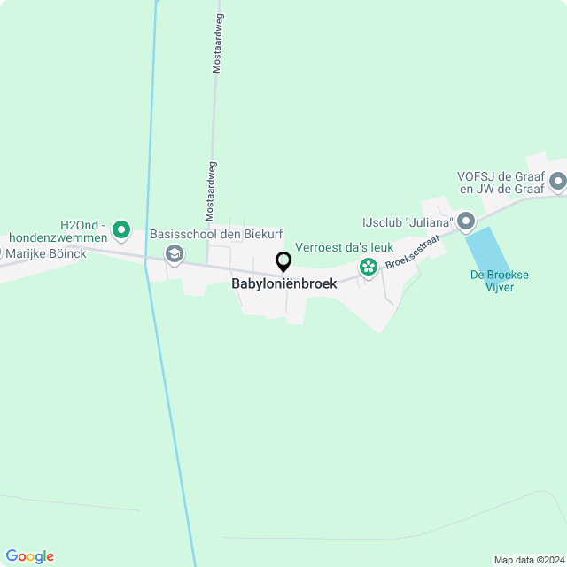 Online Bloemenwinkel Hofman in Babyloniënbroek