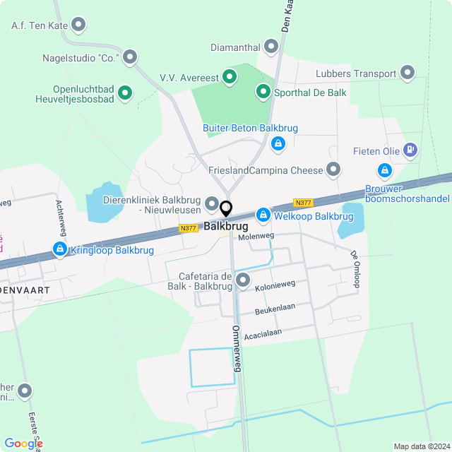 Bloemist Balkbrug – Jouw Bloemenwinkel voor Prachtige Bloemen en Boeketten