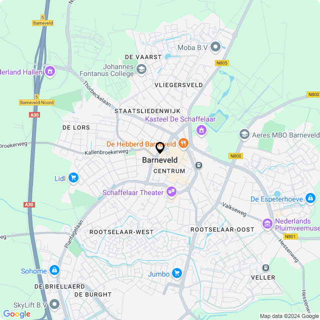 Bloemist Barneveld – Jouw Bloemenwinkel voor Prachtige Bloemen en Boeketten