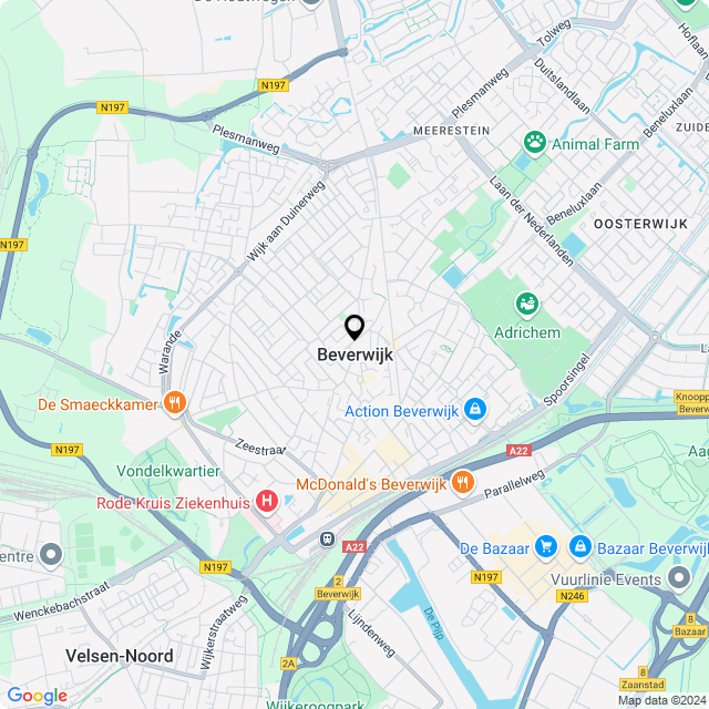 Bloemist Beverwijk – Jouw Bloemenwinkel voor Prachtige Bloemen en Boeketten