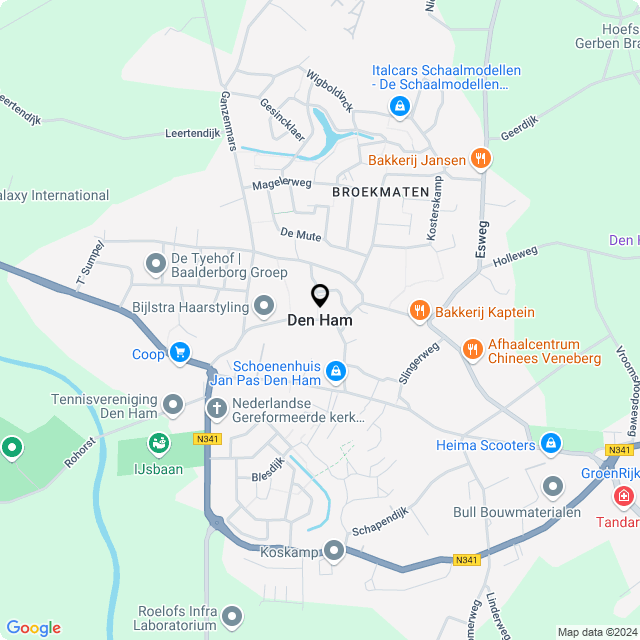 Bloemist en Bloemenwinkel Den Ham – Kwaliteit en Service op Maat