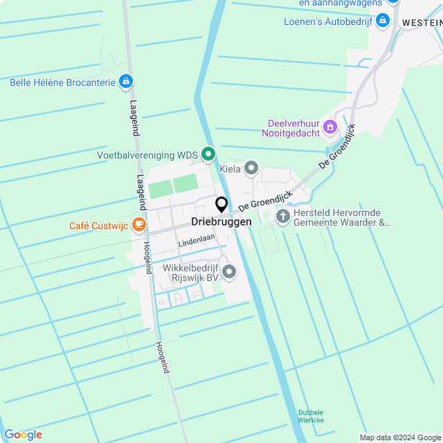 Online Bloemenwinkel Hofman in Driebruggen