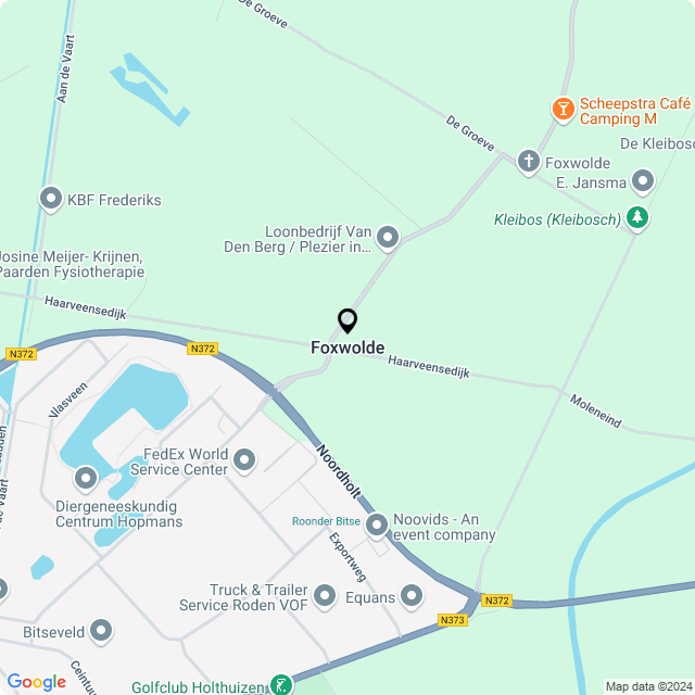 Bloemist Foxwolde – Jouw Bloemenwinkel voor Prachtige Bloemen en Boeketten