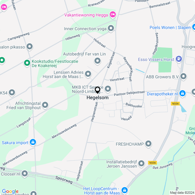 Bloemist en Bloemenwinkel Hegelsom – Kwaliteit en Service op Maat