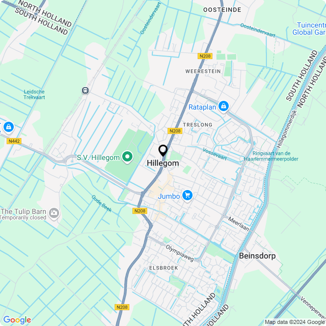 Bloemist Hillegom – Jouw Bloemenwinkel voor Prachtige Bloemen en Boeketten