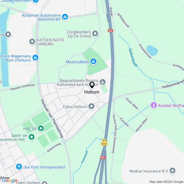 Bloemist Holtum – Jouw Bloemenwinkel voor Prachtige Bloemen en Boeketten