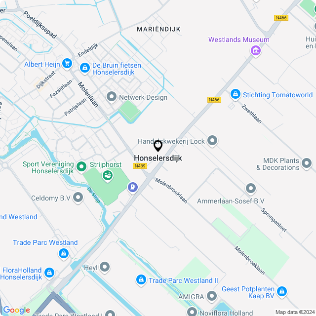 Bloemist Honselersdijk – Jouw Bloemenwinkel voor Prachtige Bloemen en Boeketten