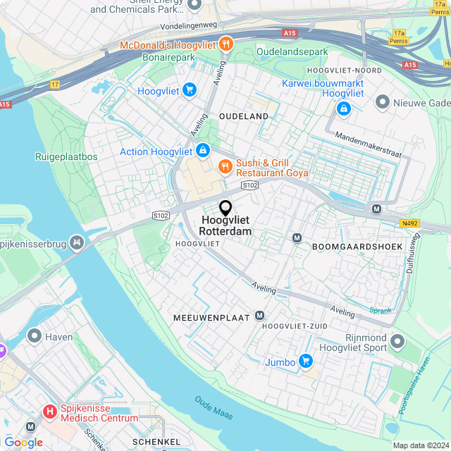 Bloemist Hoogvliet Rotterdam – Jouw Bloemenwinkel voor Prachtige Bloemen en Boeketten