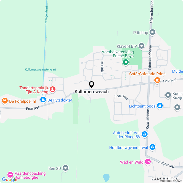 Online Bloemenwinkel Hofman in Kollumersweach