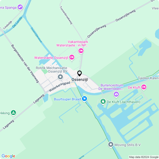 Bloemist Ossenzijl – Jouw Bloemenwinkel voor Prachtige Bloemen en Boeketten