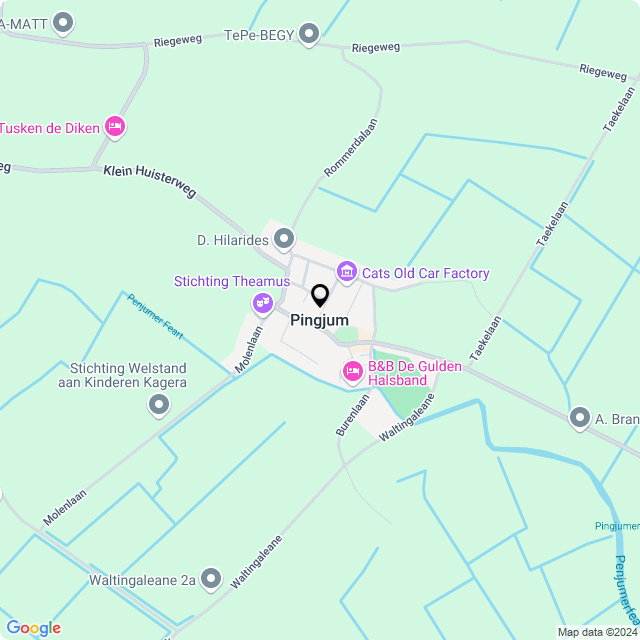 Online Bloemenwinkel Hofman in Pingjum