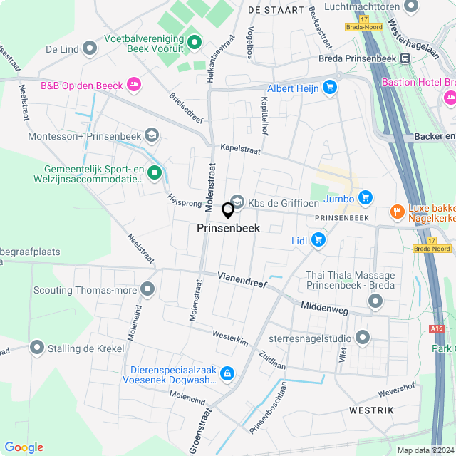 Bloemist Prinsenbeek – Jouw Bloemenwinkel voor Prachtige Bloemen en Boeketten