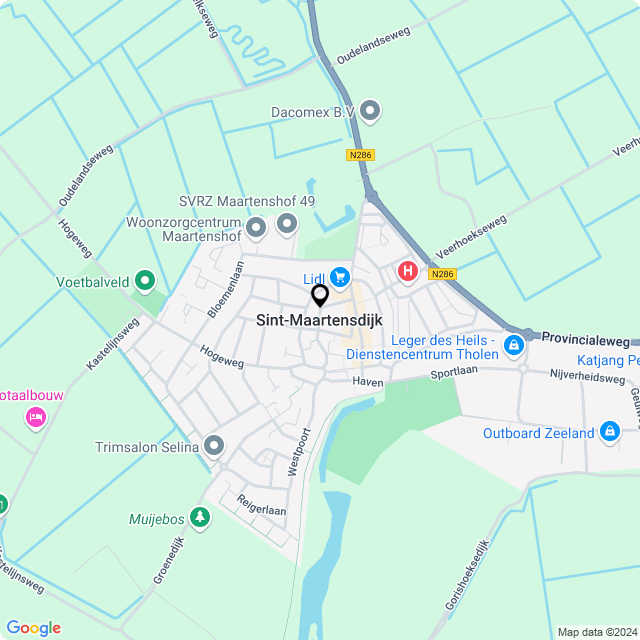 Bloemist Sint-Maartensdijk – Jouw Bloemenwinkel voor Prachtige Bloemen en Boeketten