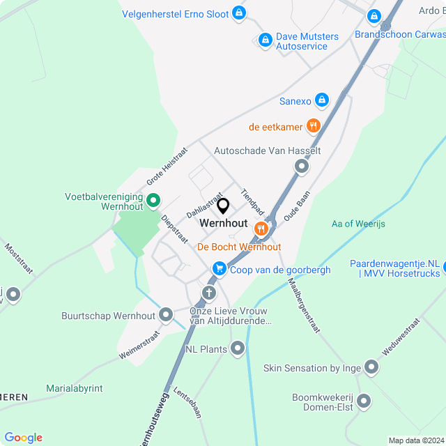 Bloemist Wernhout – Jouw Bloemenwinkel voor Prachtige Bloemen en Boeketten