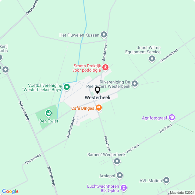 Bloemist Westerbeek – Jouw Bloemenwinkel voor Prachtige Bloemen en Boeketten