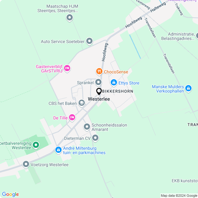 Bloemist Westerlee – Jouw Bloemenwinkel voor Prachtige Bloemen en Boeketten