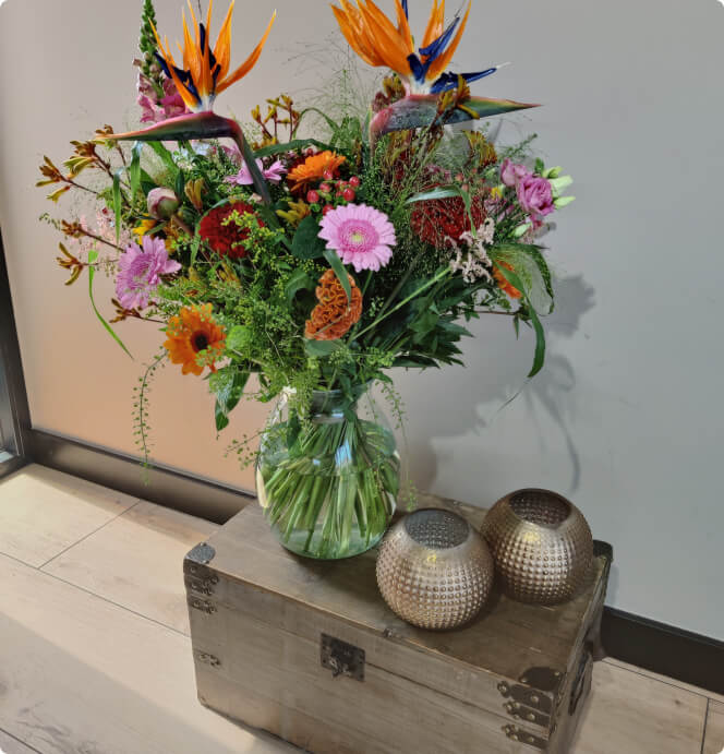 Laat vandaag nog bloemen leveren in Kapelle